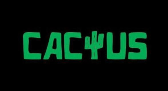 Обзор казино Кактус (Cactus Casino) - регистрация, бонусы